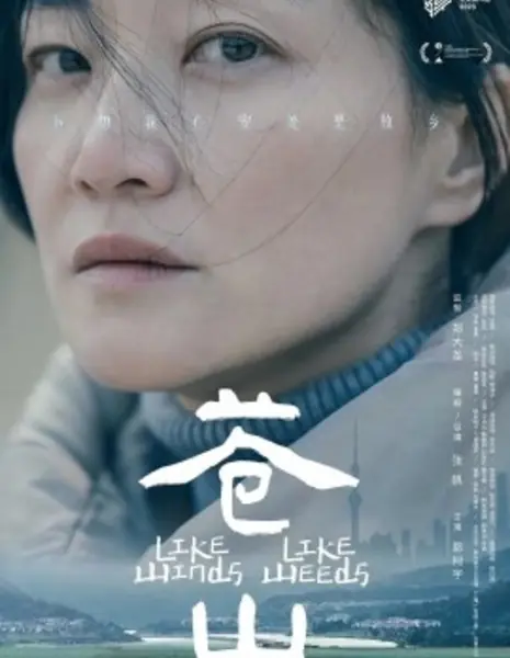 Словно ветра, словно сорняки / Like Winds, Like Weeds / 蒼山