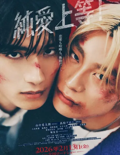 Удар любви! / Love Punch!  /  純愛上等！