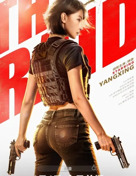 Рейд / The Raid /  突袭