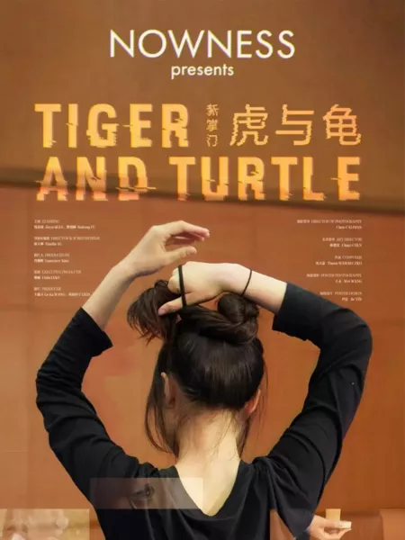 Фильм Тигр и Черепаха / Tiger and Turtle  /  虎与龟
