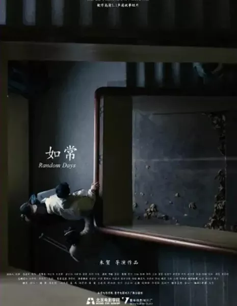 Случайные дни / Random Days  /  如常