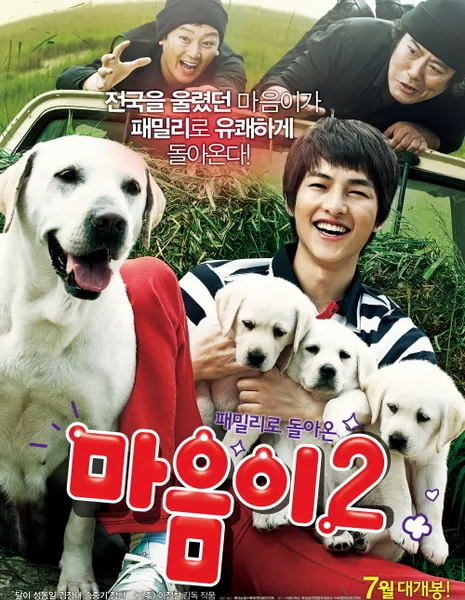 Искренние лапы 2 / Hearty Paws 2 / 마음이2 / Maeumee 2