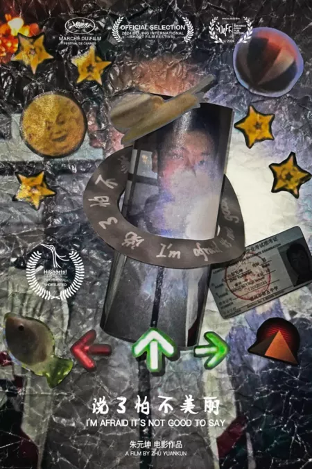 Фильм Боюсь, это не очень хорошая идея / I'm Afraid It's Not Good to Say /  说了怕不美丽