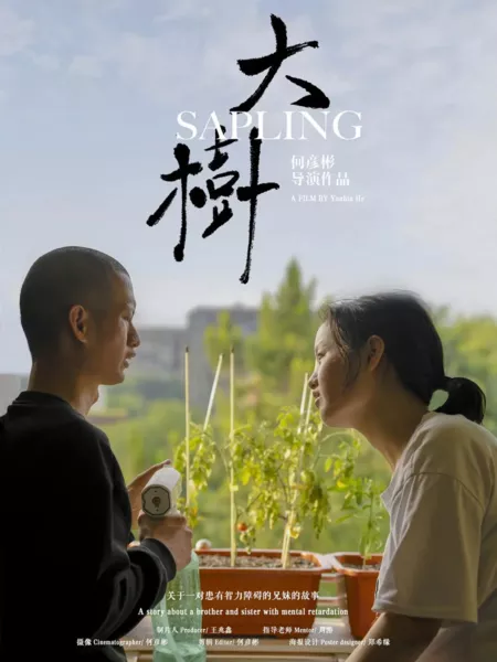 Фильм Саженец  / Sapling  /  大树