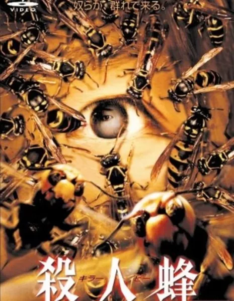 Killing Bee / Killing Bee / Killer Bees / Satsujinbachi - kira bi / 殺人蜂　キラー・ビー