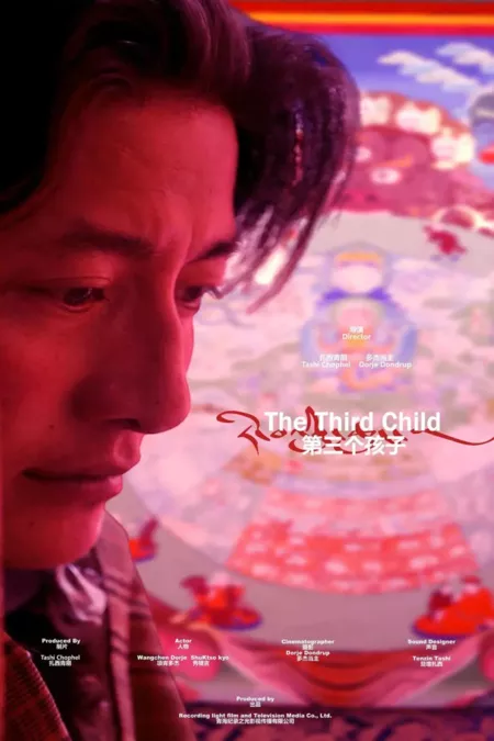 Фильм Третий ребенок / The Third Child  /  第三个孩子