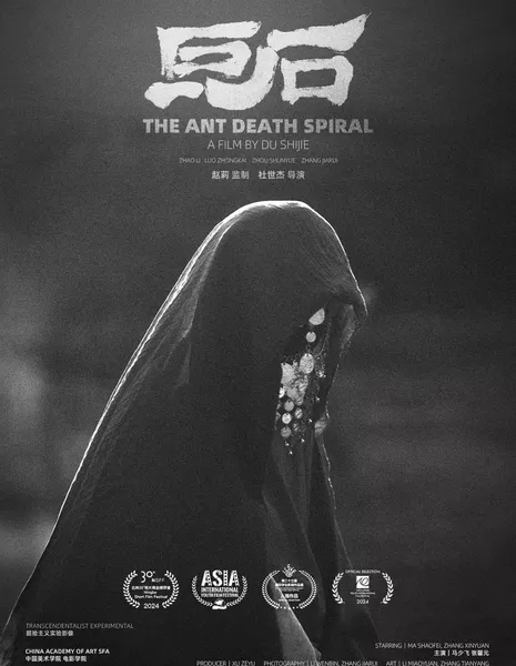 Спираль смерти муравьев / The Ant Death Spiral  /  巨石