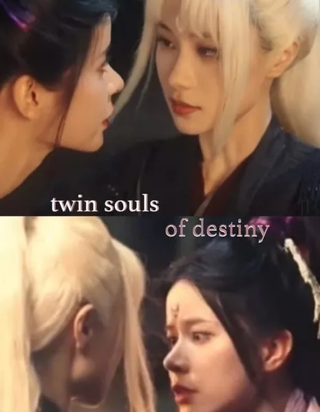 Души-близнецы судьбы / Twin Souls of Destiny  /  一骨双生