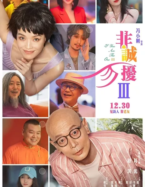 Если ты - та 3 / If You Are the One 3  /  非诚勿扰3
