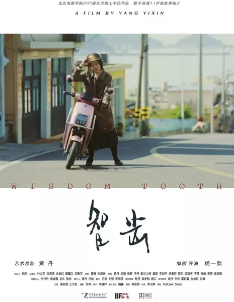 Зуб мудрости / Wisdom Tooth  /  智齿