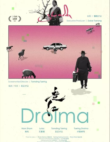 Дролма / Drolma  /  走红