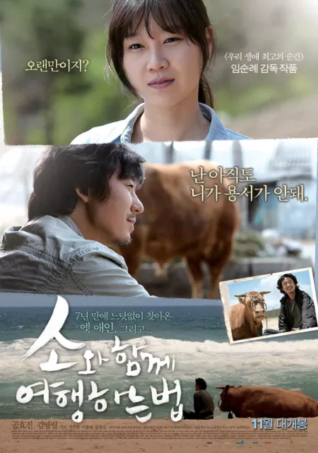 Фильм Путешествие с быком / Rolling Home with a Bull / 소와 함께 여행하는 법 / Sowa Hamgge Yeonghaenghaneun Beom