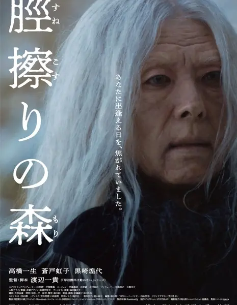 Лес заживления / Sunekosuri no Mori /  脛擦りの森