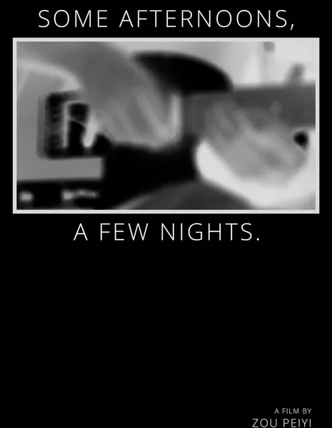 Несколько дней и ночей / Some Afternoons, a Few Nights  /  一些下午，几个晚上