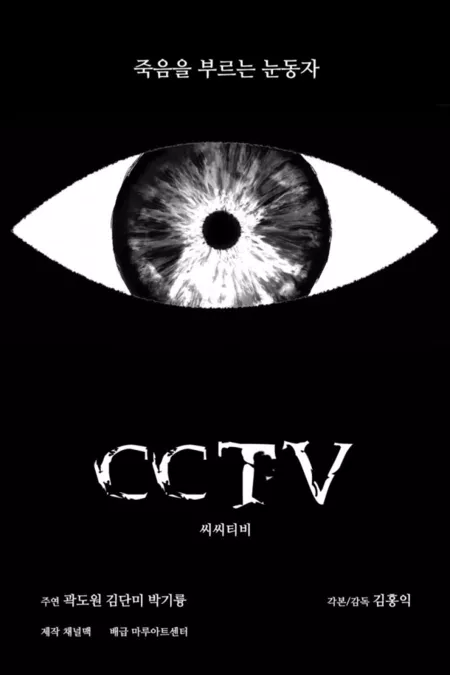 Фильм Камеры видеонаблюдения / CCTV / 씨씨티비 / Ssissitibi