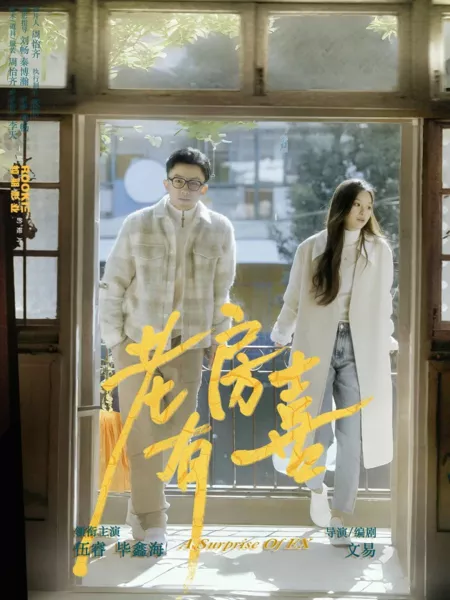 Фильм Неожиданная встреча / A Surprise of Ex  /  老房有喜