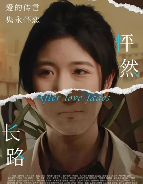 После того, как любовь угасает / After Love Fades  /  怦然长路