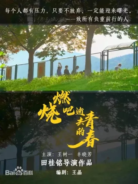 Фильм Сожги свою потерянную юность / Ran Shao Ba Shi Qu De Qing Chun  /  燃烧吧逝去的青春