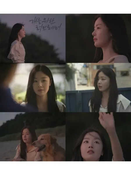 Фильм Любовное письмо собаке / Love Letter to the Dog /  개를 위한 러브레터