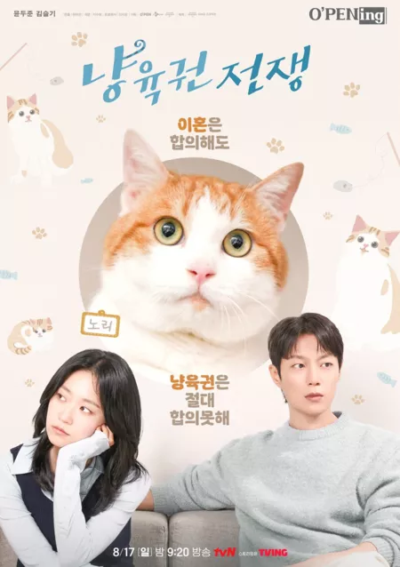 Фильм Опека над котом / Cat War [tvN O'PENing] /  냥육권 전쟁