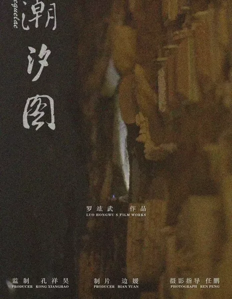 Диаграмма приливов и отливов / Sequelae  /  潮汐图