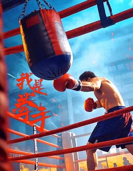 Я боксер / I Am a Boxer  /  我是拳手