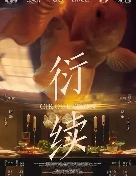 Циркуляция / Circulation  /  衍续
