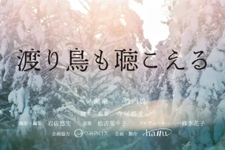 Фильм Отзвуки крыльев / Echoes of Wings  /  渡り鳥も聴こえる