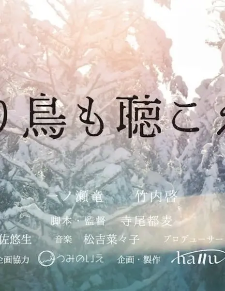 Отзвуки крыльев / Echoes of Wings  /  渡り鳥も聴こえる