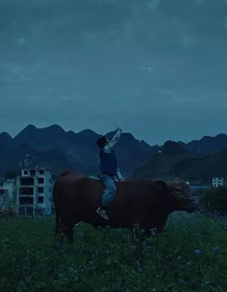 Сяо Хуэй и его коровы / Xiao Hui and His Cows / 小晖和他的牛