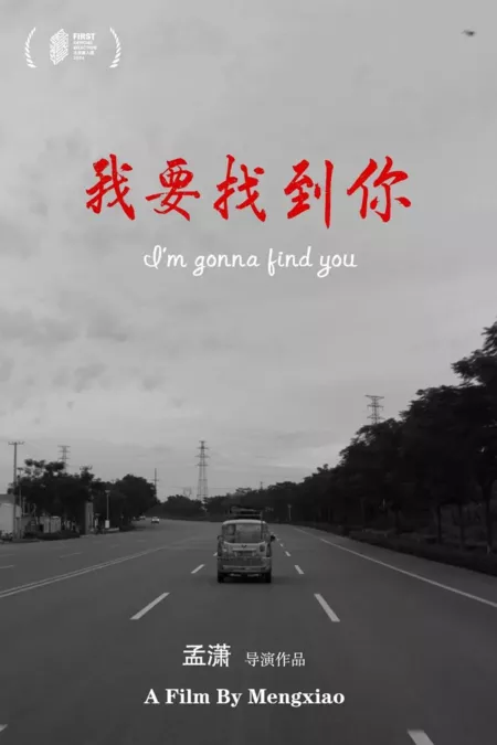 Фильм Я найду тебя / I'm Gonna Find You  /  我要找到你
