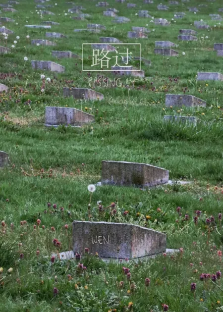 Фильм Проходя мимо / Passing By  /  路过