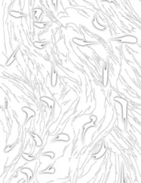 Омела / Mistletoe /  겨우살이