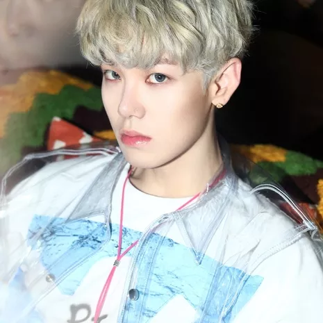 Zelo