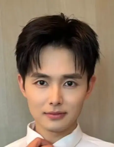 Мэй Сянь Фэн / Mei Xian Feng (1996) / 梅先锋