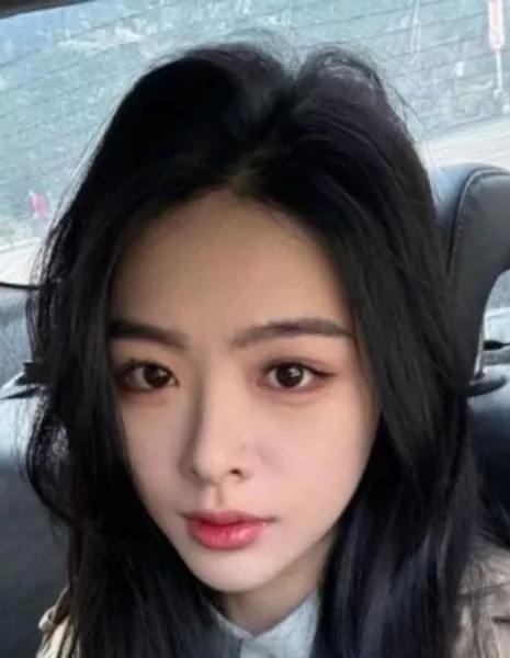 Лю Янь Цзюнь / Liu Yan Jun /  刘彦君