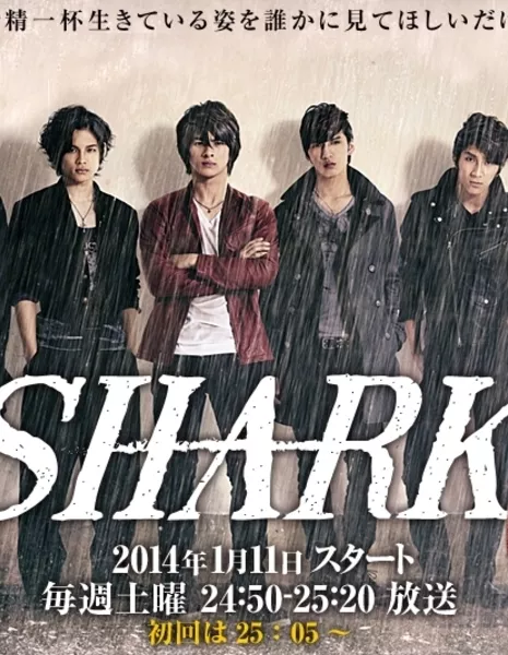 Shark Япония / Shark