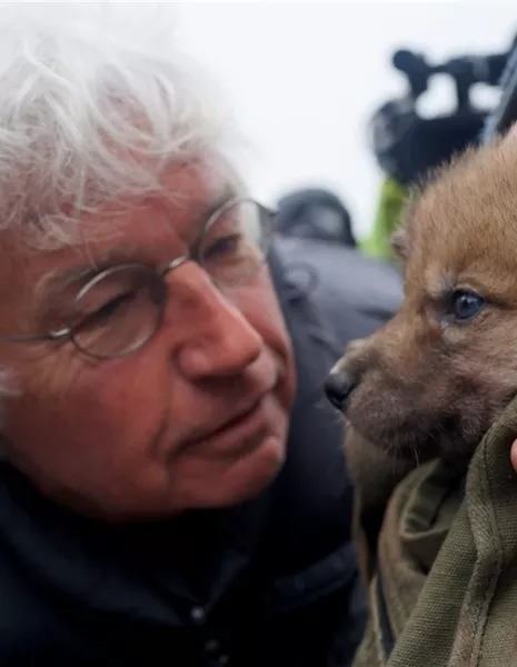 Жан-Жак Анно / Jean-Jacques Annaud /  - Азияпоиск - Дорамы, фильмы и музыка Азии