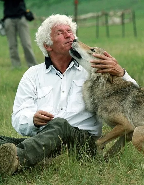 Жан-Жак Анно / Jean-Jacques Annaud /  - Азияпоиск - Дорамы, фильмы и музыка Азии