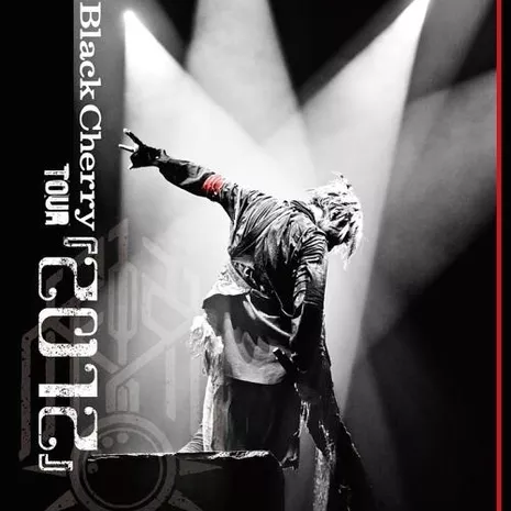 Acid Black Cherry TOUR 『2012』