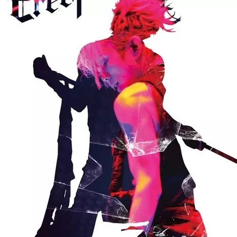 Acid Black Cherry 5th Anniversary Live “Erect”