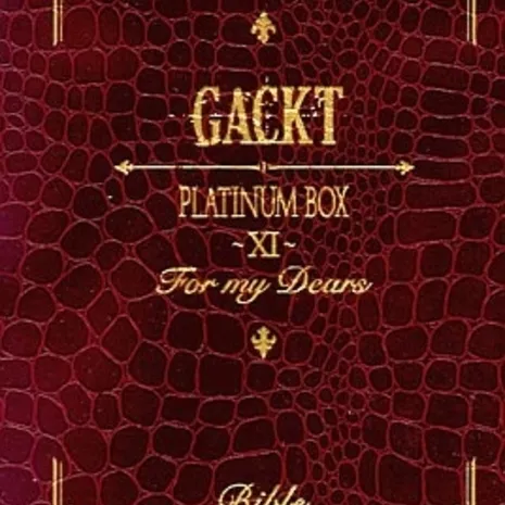 PLATINUM BOX～XI～