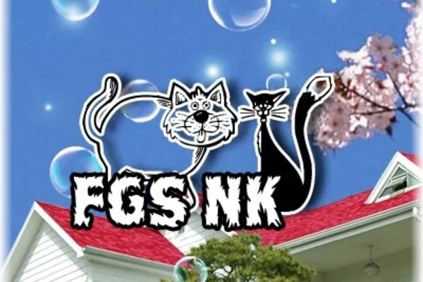 FSG NK