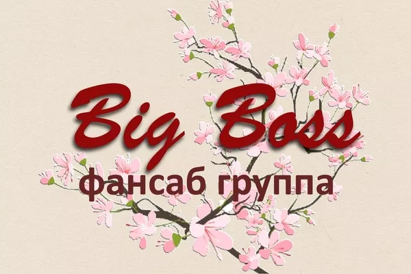 ФСГ Big Boss