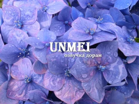 Unmei