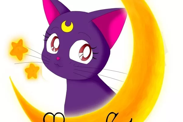 FSG Moon Cat