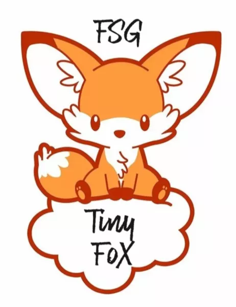 FSG Tiny Fox