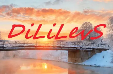 DiLiLevS